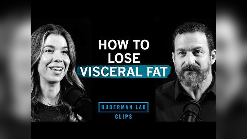 Pourquoi Votre Ventre Stocke De La Graisse — Et Comment Inverser La Tendance